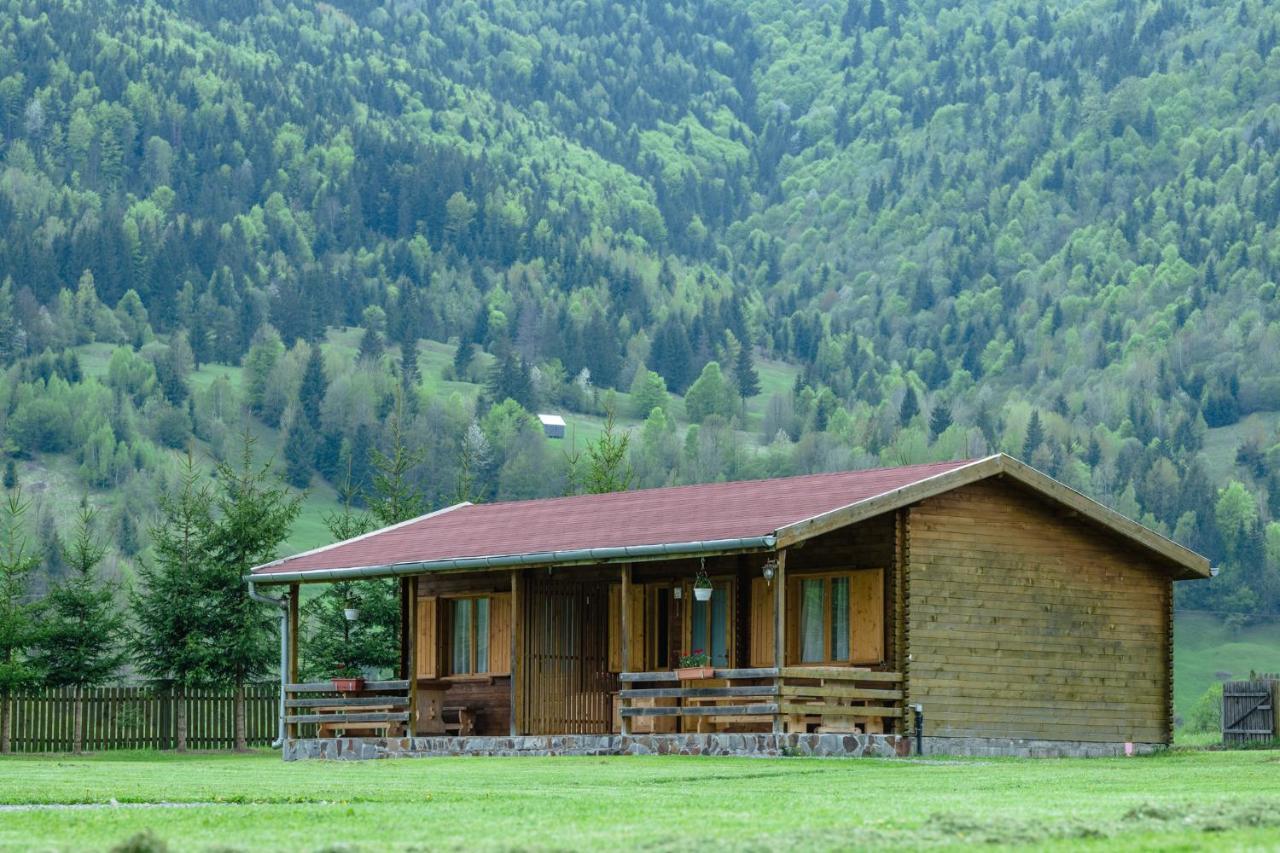 Biotour Camping & Restaurant Ghimes-Faget Exterior photo